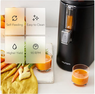 Hurom H400 Clean Slow Juicer